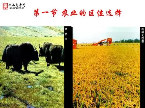 《第一节 农业的区位选择》课件