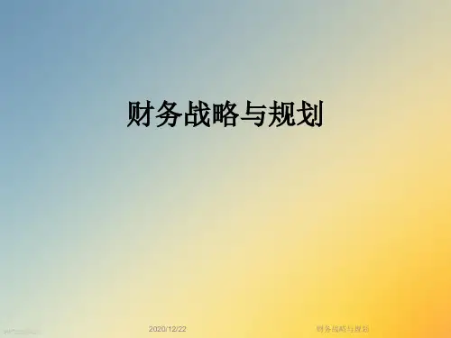 财务战略与规划