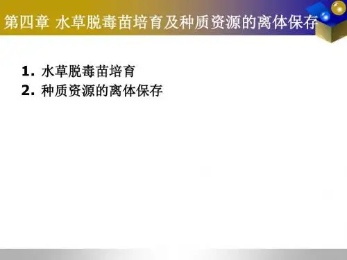 第四章水草脱毒苗