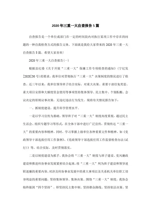 2020年三重一大自查报告5篇