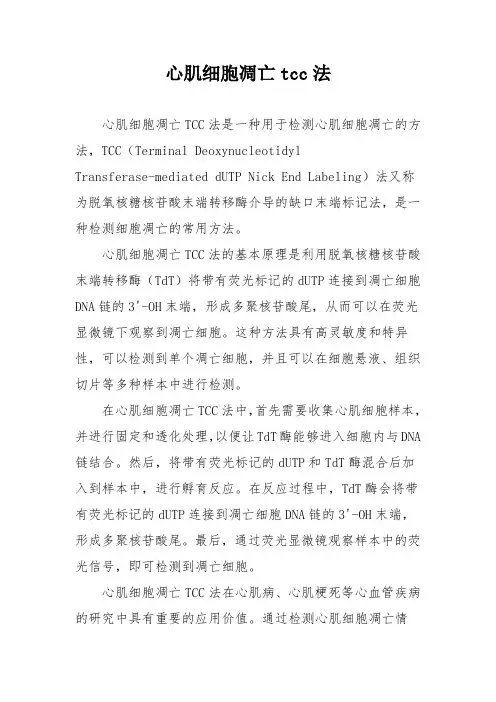 心肌细胞凋亡tcc法