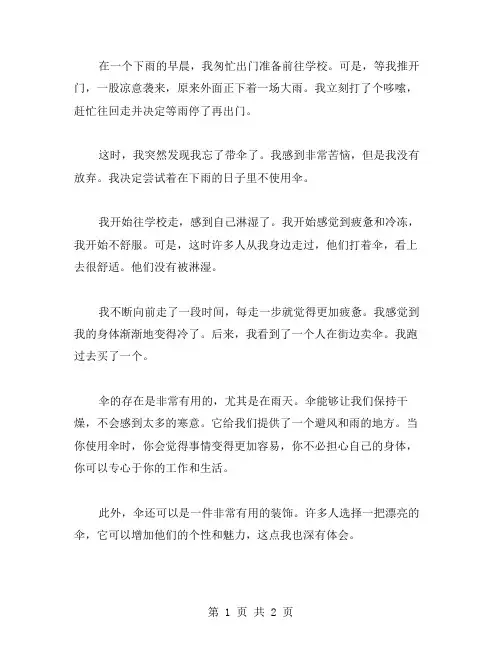 雨中的伞作文范文