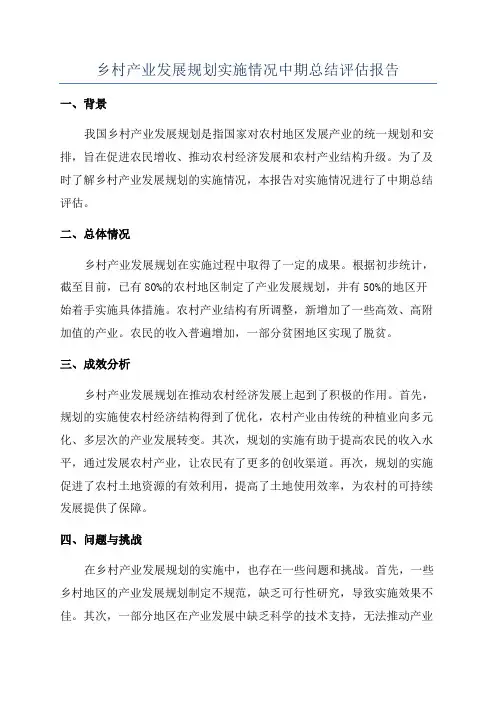 乡村产业发展规划实施情况中期总结评估报告