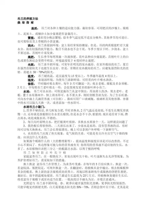 吊兰的养殖方法
