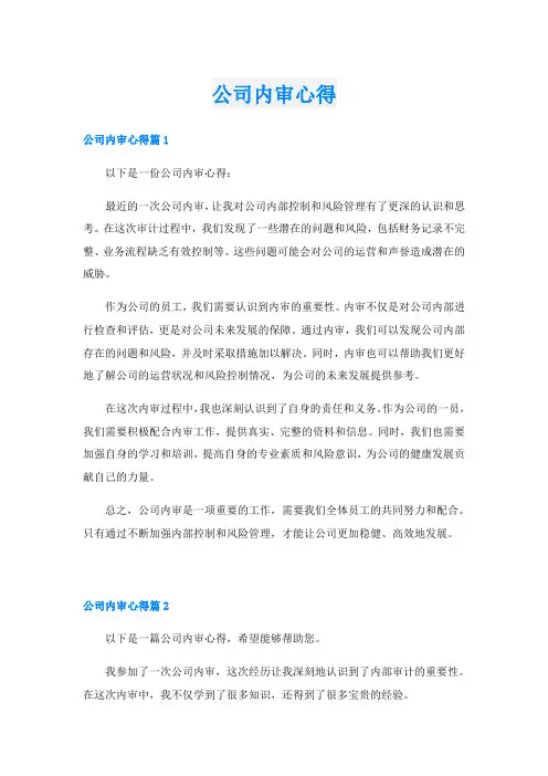公司内审心得