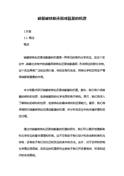 硝基被铁粉还原成氨基的机理
