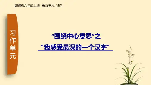 统编版语文六年级上册第五单元习作：围绕中心意思写 课件(共17张PPT)