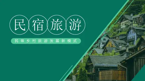 民宿乡村旅游发展新模式