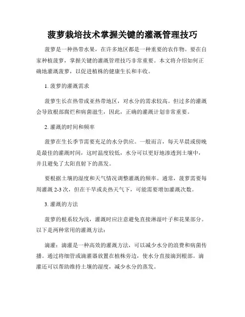 菠萝栽培技术掌握关键的灌溉管理技巧