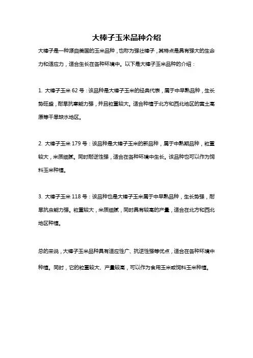 大棒子玉米品种介绍