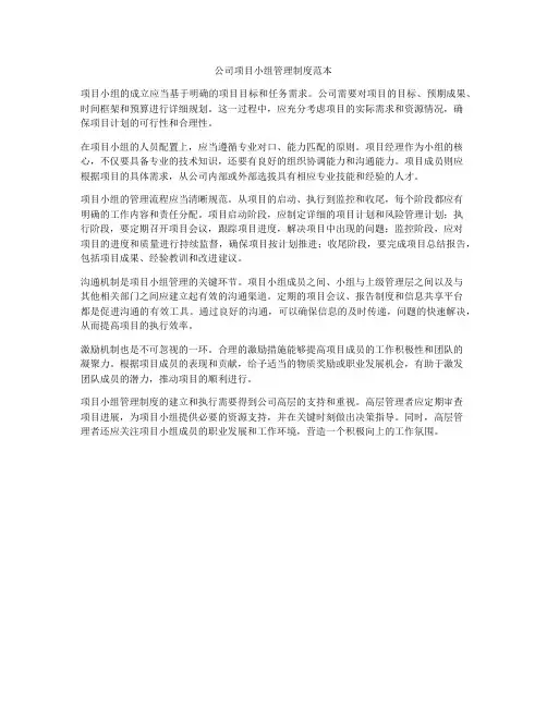 公司项目小组管理制度范本