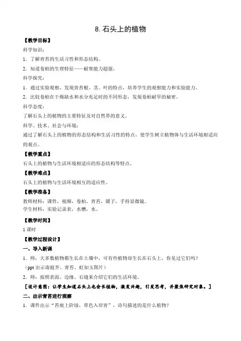 苏教版三年级下册科学《8.石头上的植物》教学设计+同步练习