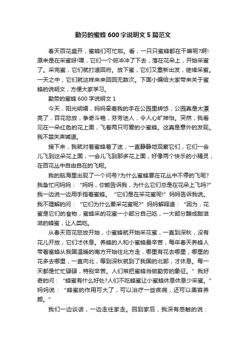 勤劳的蜜蜂600字说明文5篇范文