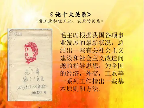 毛概演讲  论十大关系与中国现代发展新思路