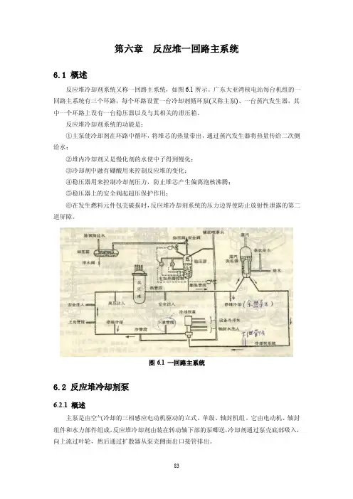 第六章反应堆一回路主系统