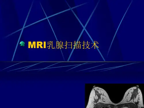 乳腺MRI课件ppt课件