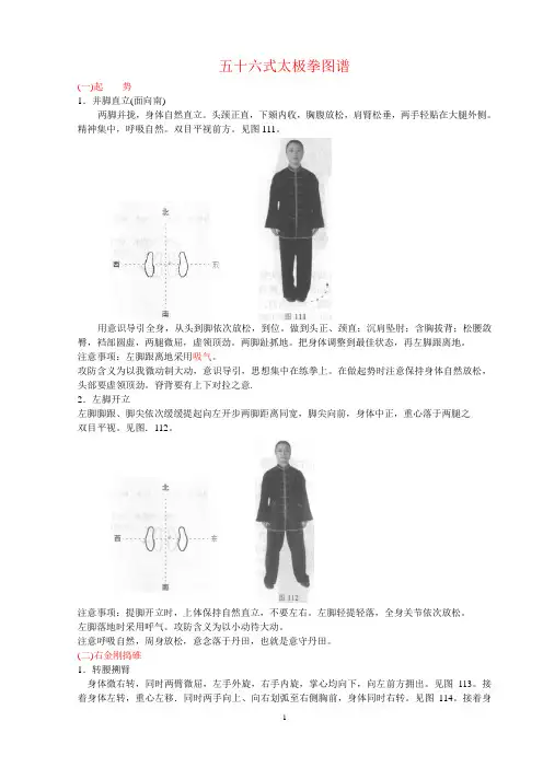 五十六式太极拳图谱