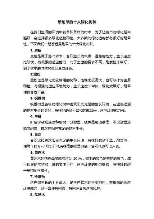 最耐旱的十大绿化树种
