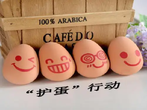 《“护蛋”行动》3  图文