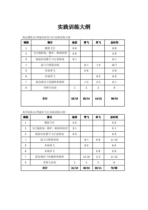 实践训练大纲