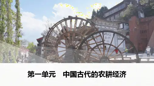 历史必修二：第2课  中国古代的土地制度