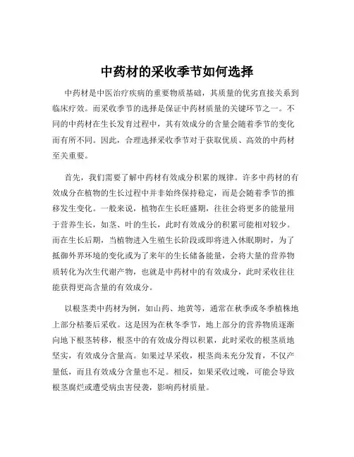 中药材的采收季节如何选择
