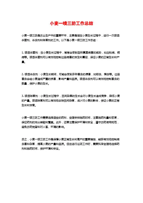 小麦一喷三防工作总结