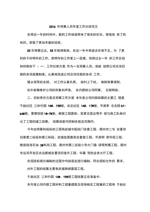 2016年预算人员年度工作总结范文