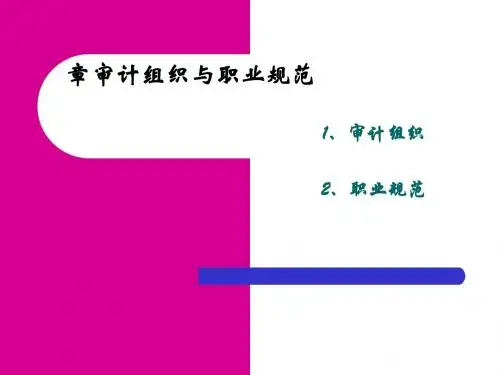 审计组织与职业规范(PPT 60张)