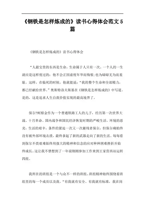 《钢铁是怎样炼成的》读书心得体会范文5篇