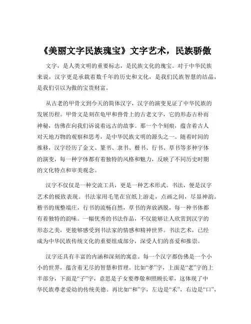 《美丽文字民族瑰宝》文字艺术,民族骄傲