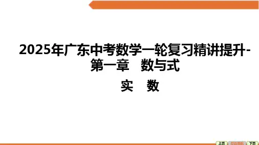 2025年广东中考数学一轮复习精讲提升- 实数