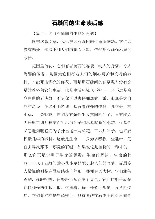 石缝间的生命读后感