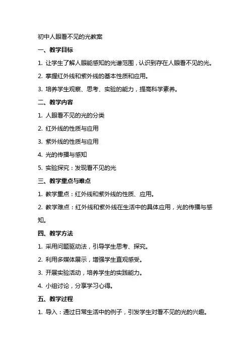 初中人眼看不见的光教案