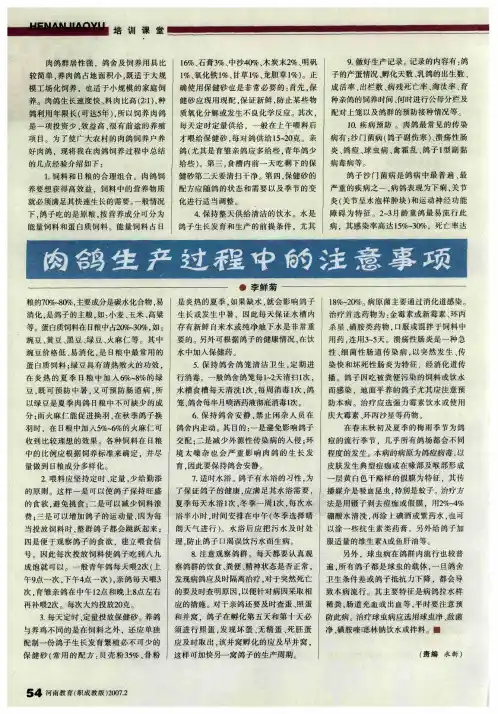 肉鸽生产过程中的注意事项