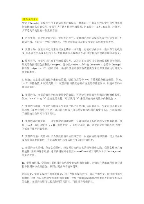 什么是变量