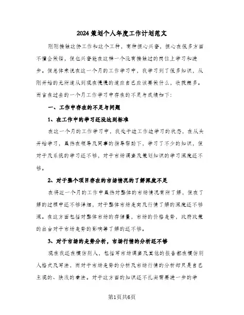 2024策划个人年度工作计划范文（3篇）