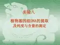 植物基因组DNA的提取