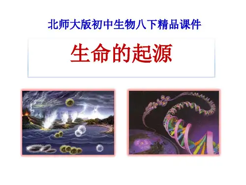 《生命的起源》PPT精选教学优质课件