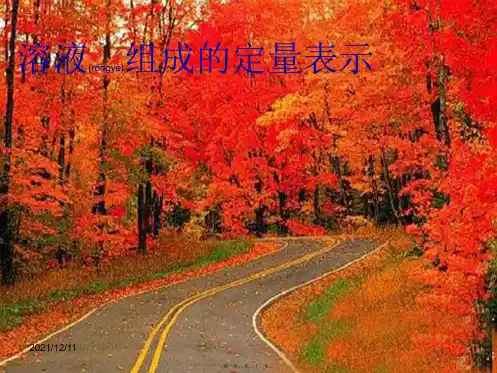 九年级化学全册 3.2 溶液组成的定量表示课件 _1
