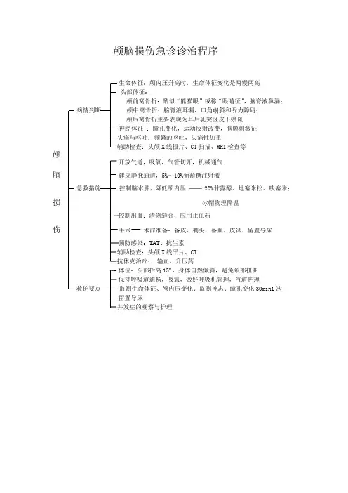 颅脑损伤的服务流程
