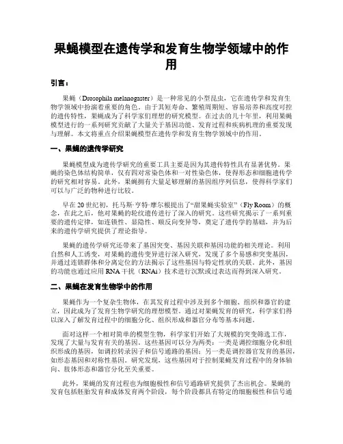 果蝇模型在遗传学和发育生物学领域中的作用