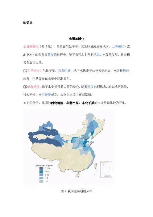 高中地理——每日讲1题(西北地区、土壤盐渍化的防治)