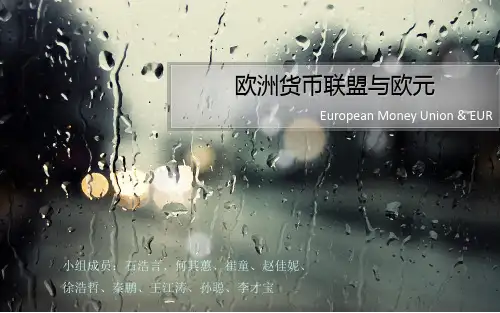 欧洲货币联盟与欧元1