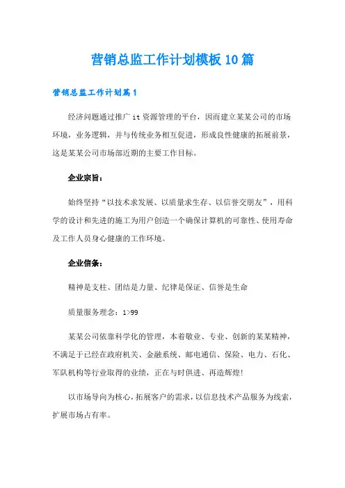 营销总监工作计划模板10篇