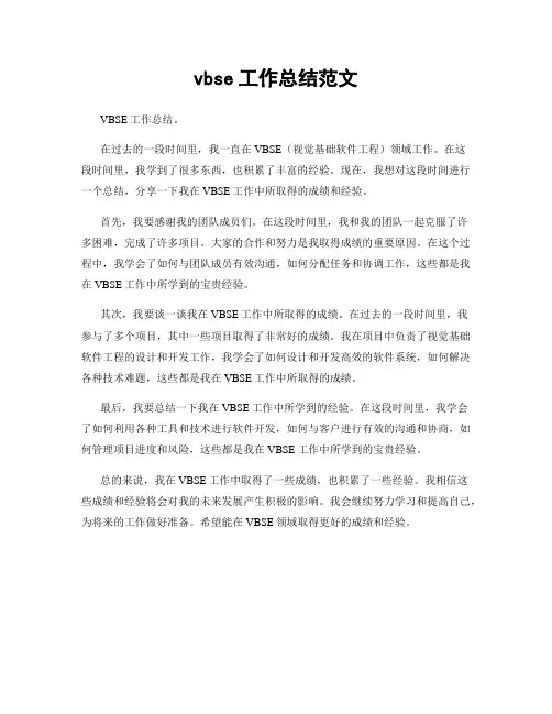 vbse工作总结范文