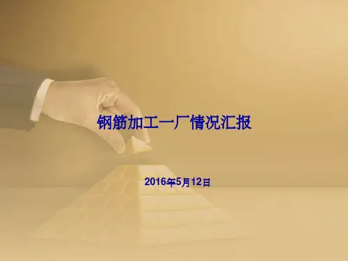 钢筋集中加工一厂汇报ppt精选课件