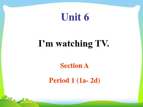 人教版七年级英语下册Unit 6 I'm watching TV 公开课课件