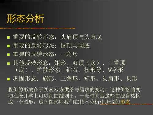 形态分析