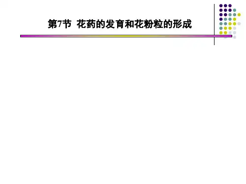第七讲花药、胚囊的发育